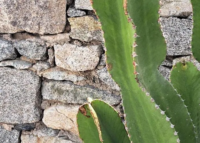 Anixi Ξενοδοχείο Ορνός