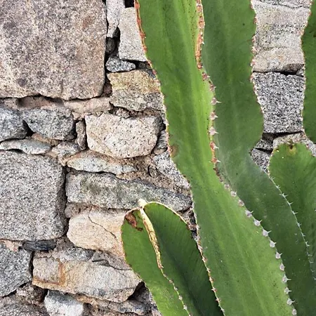 Anixi 호텔 오르노스